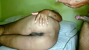 amateur blowjob and anal pleasure