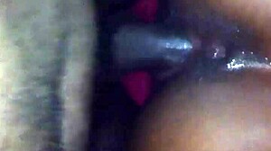 Amateur fight night round 1 with ebony participants