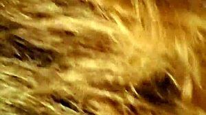 Sucking Step Cock with Mature Skill