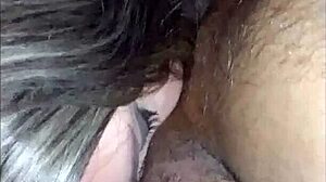 gabriela stokweel sucking the guy's little ass with oral greek kiss and cumshot