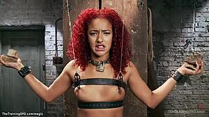 slim ebony trainee gets tied up and anal banged