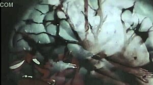 Dark Lantern Presents Vintage Pornography Collection