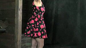 Bound slut whipped and anally fucked by lesbian domme in stockings