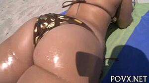 i'm watching sex model nikki stone suck cock