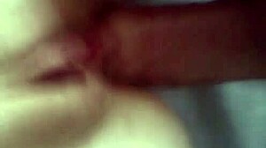 milf gets quick anal creampie at home