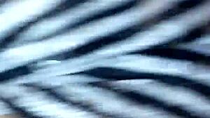 why fuck this beautiful petite wife?