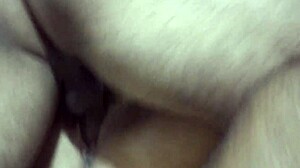 نكت أخت زوجي الخطوة في سرير أخي الخطوة الليلة الماضية. لا أصدق أننا نجونا! 😜