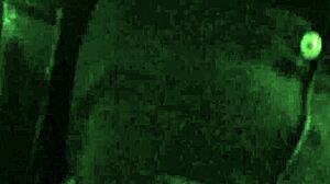 Kolik trestu vydrží tahle děvka