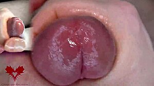 close-up glans urethral play with dilator