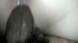 Ride That Big Black Cock!