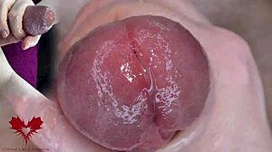 特写龟头尿道扩张器玩法