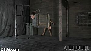 Intriguing Bdsm Slave Collar For Play