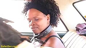 Rough Bang Curvy African MILF Outdoors!