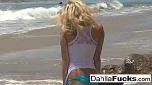 hot dahlia sky's solo masturbation compilation 😍