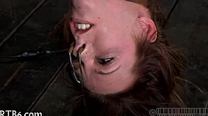 sexy serf delights with oral sex 😘💦