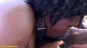 Rough Bang Curvy African MILF Outdoors!