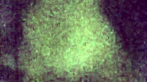 Cumslut Loves Facial