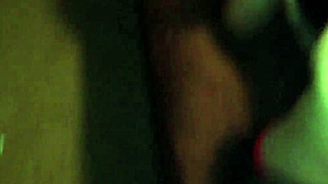 Kitty's Playtime with Toys and Friends