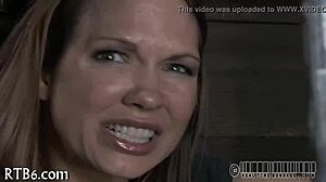 Intriguing Bdsm Slave Collar For Play