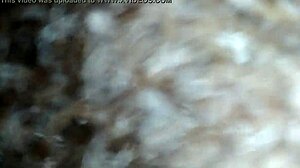 Thicklong1991 Solo Jerking Off In Retro Blue Film Style