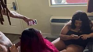 drippinvelvet and gakworld meet for family reunion