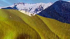 nikki riddle visits barcelona with victor bloom