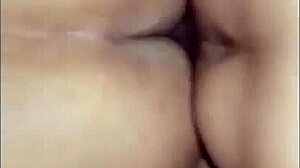 gordinha safada amateurs prostitute, how does that sound?