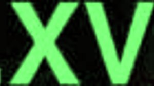 23x3 Horny Housewife Oral Action