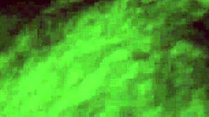 Sexy Tight Latina Girlfriend Bent Over for Doggystyle Fuck