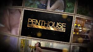 busty brooke banner sucks cock then bends for doggystyle