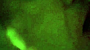 Shemale Crossdressing Cock Sucker in Blowjob Action