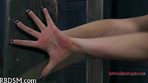 Seductive femdom stuffs cute slut with toy