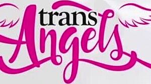 pierce paris fucks sarina valentina's ass