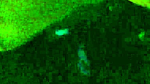 Girlfriend Giving Blowjob To Friend