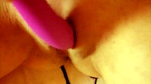 Enjoying Southern Fun with Toys and Vibrator