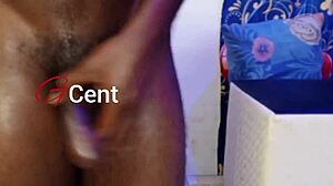 omg sex with porn star, moaning and riding bbc 😍