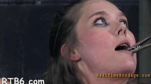 The bounded girl waits for her punishment with tight pussy