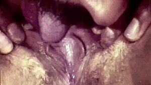 Vintage interrasni tabu z dlakavim črnim dejanjem.