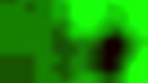 Tham Truong Viet Nam Tu Quay