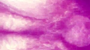 amateur bbw wife fucks husband in homemade pussy riding