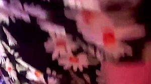 Have you seen Vera Jade getting blindfolded and fucked by a monster cock?