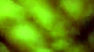 Love sucking dick in the shop caribbean cuban cock