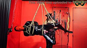 femdom mistress performs cbt on bound slave in suspension