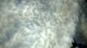 i love watching my wife suck cock passionately