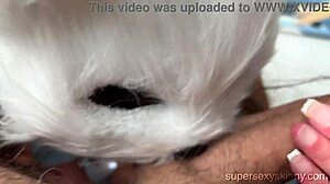 the stunning brunette milf sucks a big cock like a lollipop in homemade video