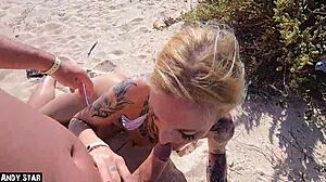 Blonde Swallows on Fuerteventura Beach