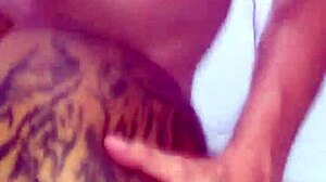 Kamilly Campos In Malandrona Style