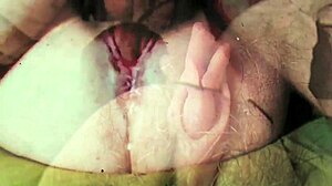 Everything Has Changed In My Secret Life!