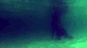 The story of a sexy girl in a bikini by the croc.