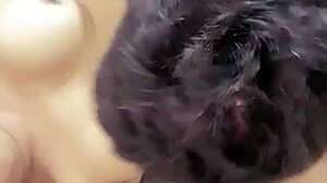 Colombian man sweats through intense anal sex